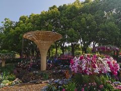 -上海滨江森林公园
