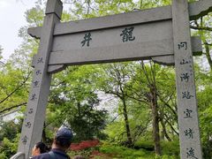 -龙井村