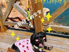 -长岛南北长山旅游景区