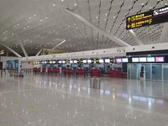 -郑州新郑国际机场-T2航站楼