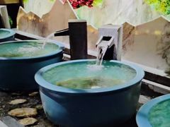 -青水瓦台汤泉(未央店)