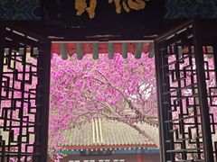 -万寿八仙宫
