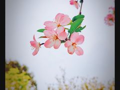-白塘生态植物园
