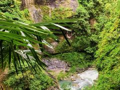 -鹿院坪生态旅游景区