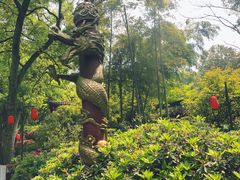 -杭州黄龙洞