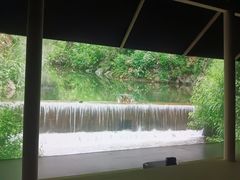 -上海当代艺术博物馆