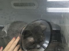 -康乐宝动物医院