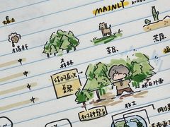 -竞思注意力·专注力·学习能力训练(广开中心)