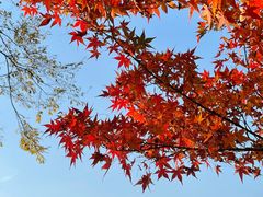 -苏州太湖国家湿地公园