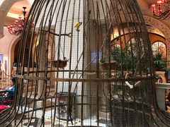 -深圳东部华侨城茵特拉根酒店
