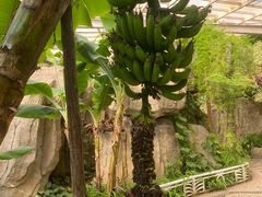 -石家庄市植物园