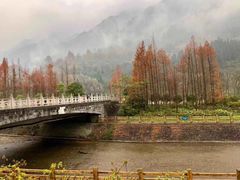 -西岭雪山大飞水景区