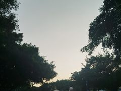 -南宁南湖公园