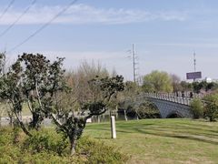 -九里河湿地公园