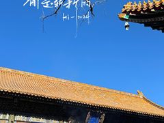 -雍和宫