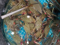 -渔码头食府(蓬莱阁店)