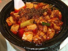 -陈麻婆豆腐总店