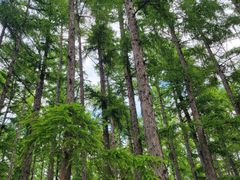 -长春市南湖公园