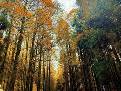 -山王坪喀斯特国家生态公园