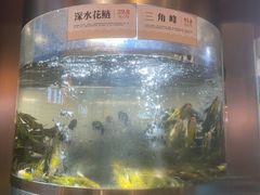 -老船舫·现做活鲜鱼馆(东郊记忆店)