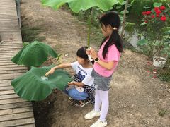 -同銮特种养殖场·龙虾垂钓