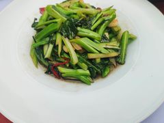 油渣炒广东菜心-赵小姐丨新中餐(曲江店)