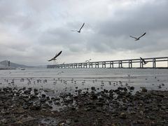 -黑石礁公园