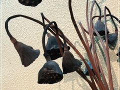 -囿面传统制面馆(中央路店)