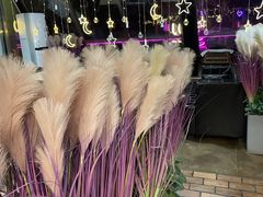-枫花园汽车电影院(朝阳公园店)
