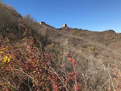 -蟠龙山长城景区