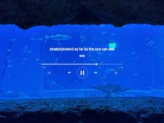 -南昌融创海世界