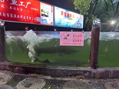 -天怡·鱼工厂(梅溪湖店)