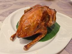 -金汇酒楼(中山东区店)