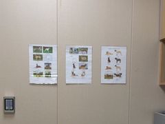 -瑞鹏宠物医院·骨外科·心肾科·肿瘤科(九亭店)
