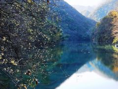 -郧西五龙河风景区