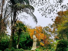 -昆明市金殿名胜区