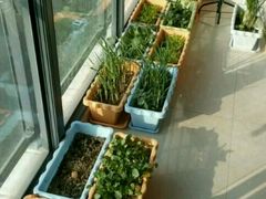 -王小厨私房菜(司徒庙路店)