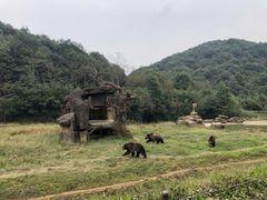 -杭州野生动物世界