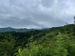 -大觉寺-停车场