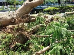 -霞山观海长廊