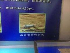 -上海昆虫博物馆
