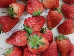 -乐乐鲜果水果超市(河北店)