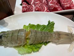 泰国尿虾-協成海鮮火鍋(老店)