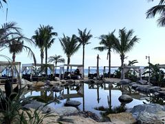 -精酿农场Brew Farm·沙漠绿洲餐厅