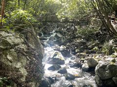 -青峰峡国家森林公园