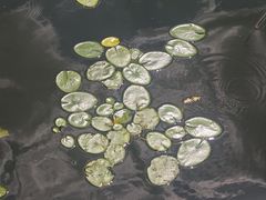 -长春市南湖公园