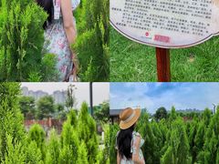 -广西壮族自治区药用植物园