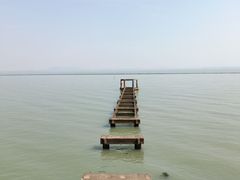 -贡湖湾湿地公园