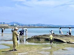 -巧克力渔家.小船海鲜胶东菜(万平口店)