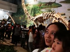 -自贡恐龙博物馆